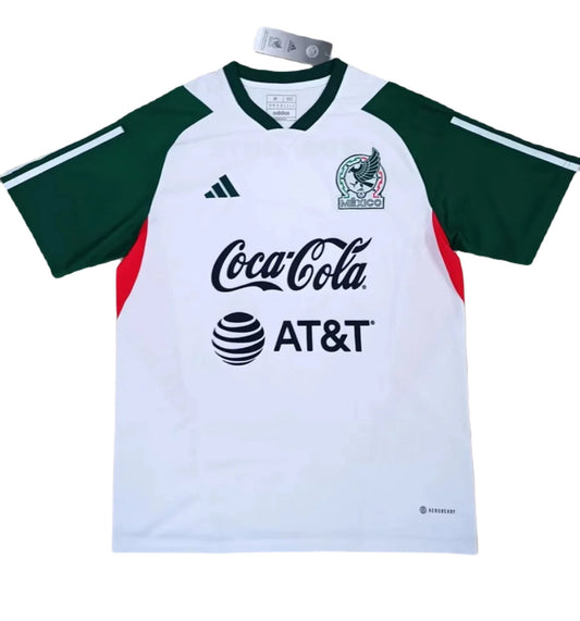 Alternativa México