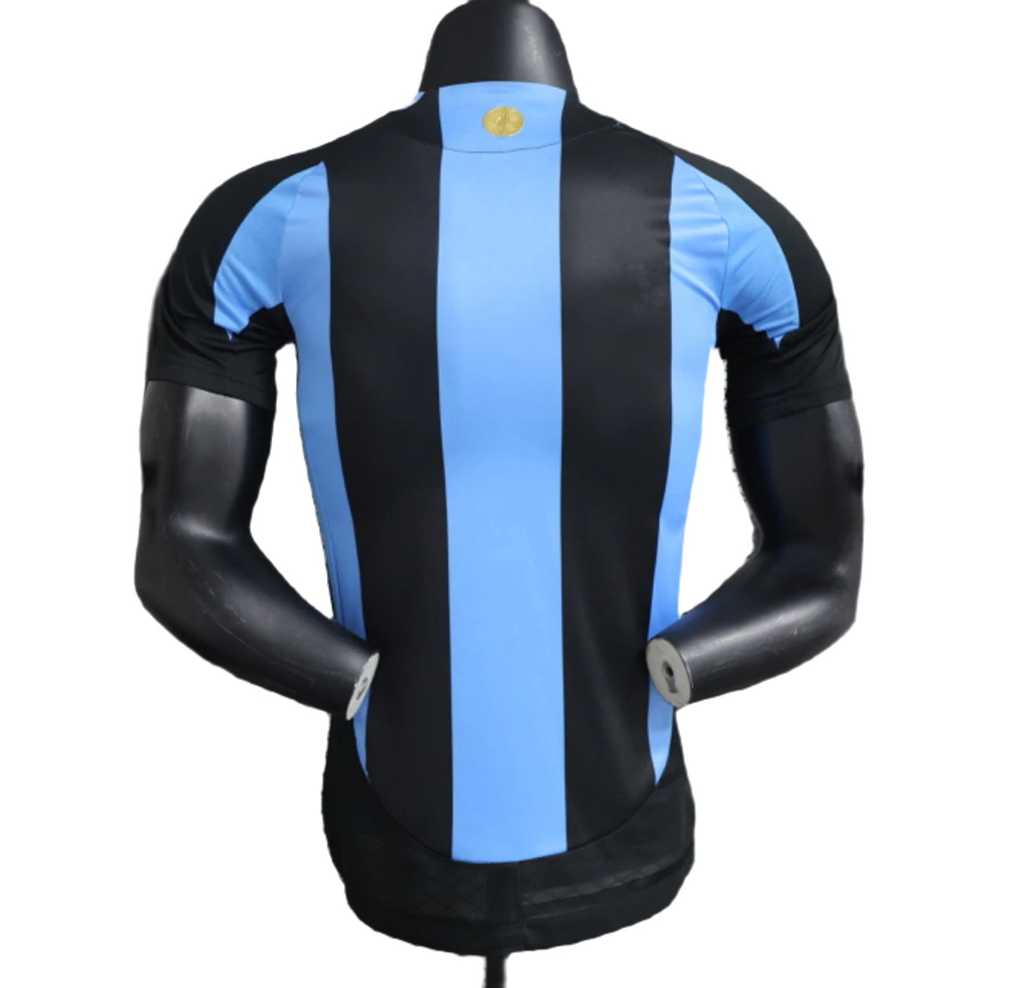 Alternativa Argentina Player Version
